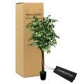 Lifelike 5' Artificial Ficus Tree In Modern Plastic Pot Lootquake LLC