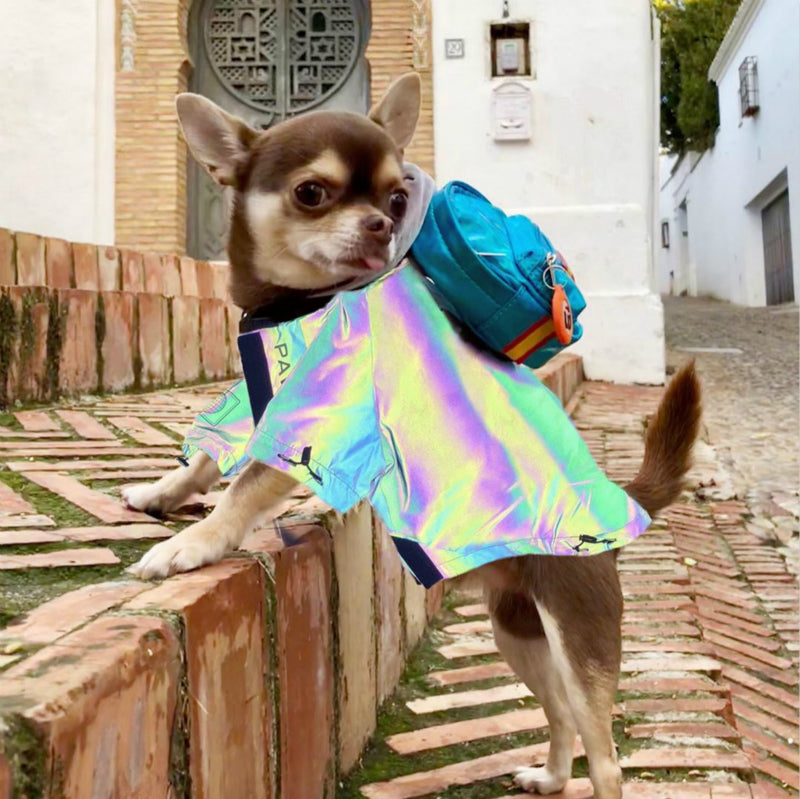 Microcrystalline reflective dog clothes Pi-Mart