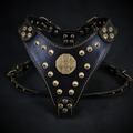 The ''Maximus'' harness Black & Gold  Small to Medium Size - SJB-DIAMOND ELITES
