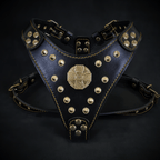 The ''Maximus'' harness Black & Gold  Small to Medium Size - SJB-DIAMOND ELITES