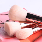 Makeup brush beauty tools Pi-Mart