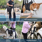 Oxford Cloth Dog Injury Travel Auxiliary Strap Pi-Mart
