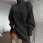 Solid Turtleneck Long Sweater Winter Warm Women Sweater Dress Pi-Mart