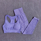 FlexFit Seamless Women’s Yoga Set: Comfort & Style - SJB-DIAMOND ELITES