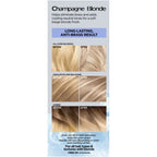 L'Oreal Paris Feria Power, Long Lasting Anti Brass Toner, Natural Blonde 9N, 1 fl oz