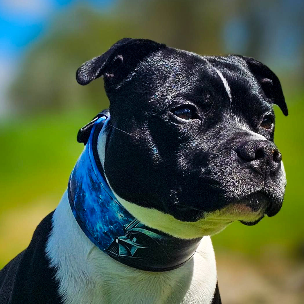 The Vader Limited Collar - SJB-DIAMOND ELITES