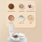 Automatic Pet Feeder Smart Food Dispenser For Cats Dogs Timer Stainless Steel Bowl Auto Dog Cat Pet Feeding Pets Supplies Pi-Mart