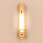 Smart Home Charging Induction Lamp Multi-function Torch Induction Lamp Pi-Mart
