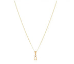 Personalized Stainless Steel Necklace Customization