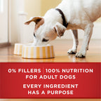 Purina ONE Real Beef & Chicken Wet Dog Food Variety Pack13 oz Can (6 Pack) EasyOptionXY LLC