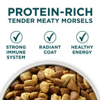 Purina ONE Plus Large Breed Puppy Food Dry Formula