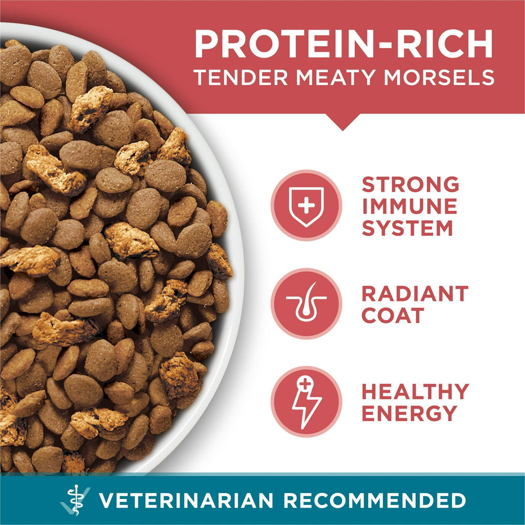 Purina One Tender Selects Blend Dry Cat Food Salmon 7 lb Bag EasyOptionXY LLC