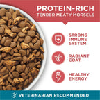 Purina One Tender Selects Blend Dry Cat Food Salmon 7 lb Bag EasyOptionXY LLC