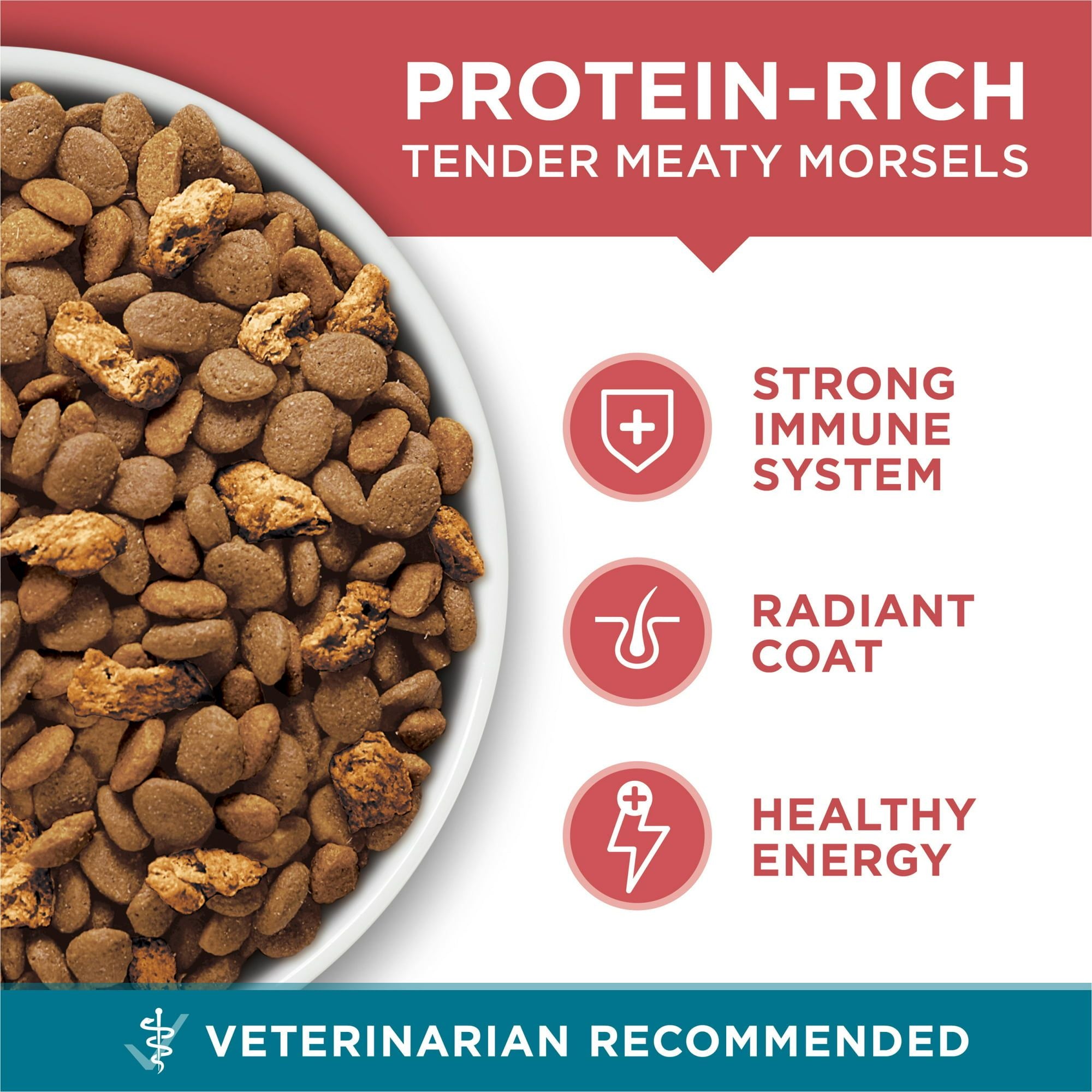 Purina One Tender Selects Blend Dry Cat Food Salmon 7 lb Bag EasyOptionXY LLC