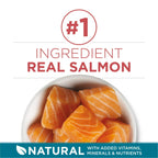 Purina One Tender Selects Blend Dry Cat Food Salmon 7 lb Bag EasyOptionXY LLC