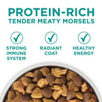 Purina One +Plus Dry Dog Food Digestive Health Formula 31.1 lb Bag