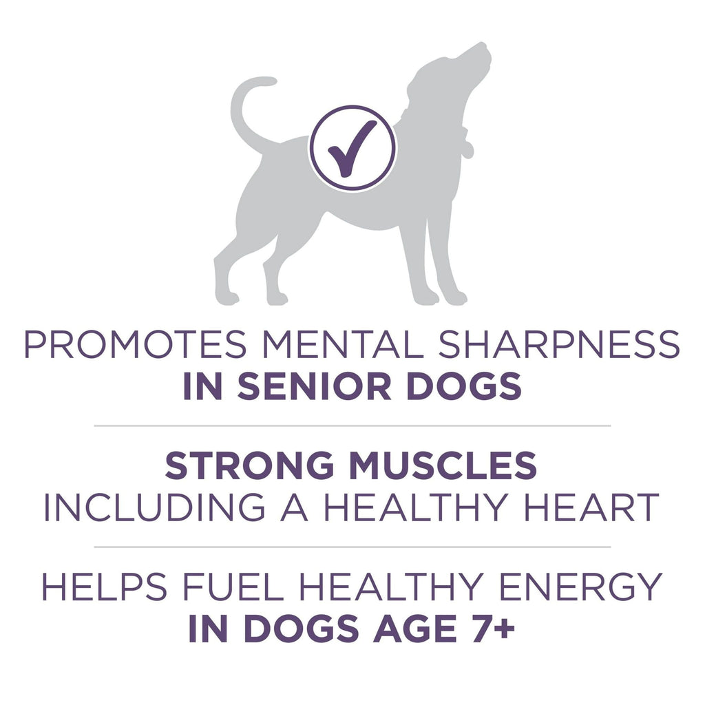 Purina ONE High Protein Dry Senior Dog Food Plus Vibrant Maturity Adult 7 Plus Formula EasyOptionXY LLC