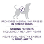 Purina ONE High Protein Dry Senior Dog Food Plus Vibrant Maturity Adult 7 Plus Formula EasyOptionXY LLC