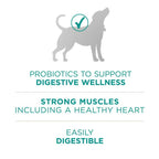 Purina One +Plus Dry Dog Food Digestive Health Formula 31.1 lb Bag EasyOptionXY LLC