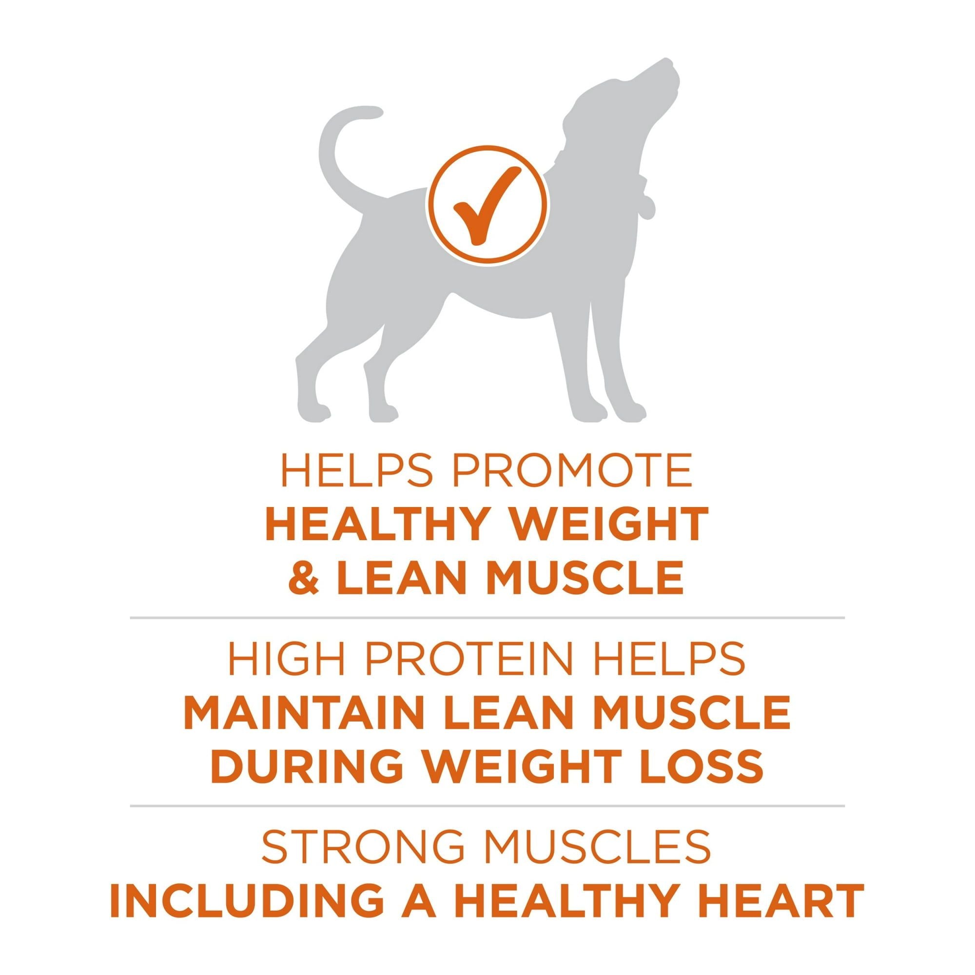 Purina ONE Plus Healthy Weight Dog Food Dry Formula EasyOptionXY LLC
