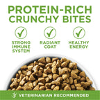 Purina One +Plus Indoor Advantage Dry Cat Food Turkey 22 lb Bag EasyOptionXY LLC