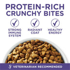 Purina One +Plus Helps Minimize Hairballs Dry Cat Food 22 lb Bag