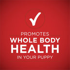 Purina ONE +Plus Lamb & Long Grain Rice Wet Puppy Dog Food 13 oz Can