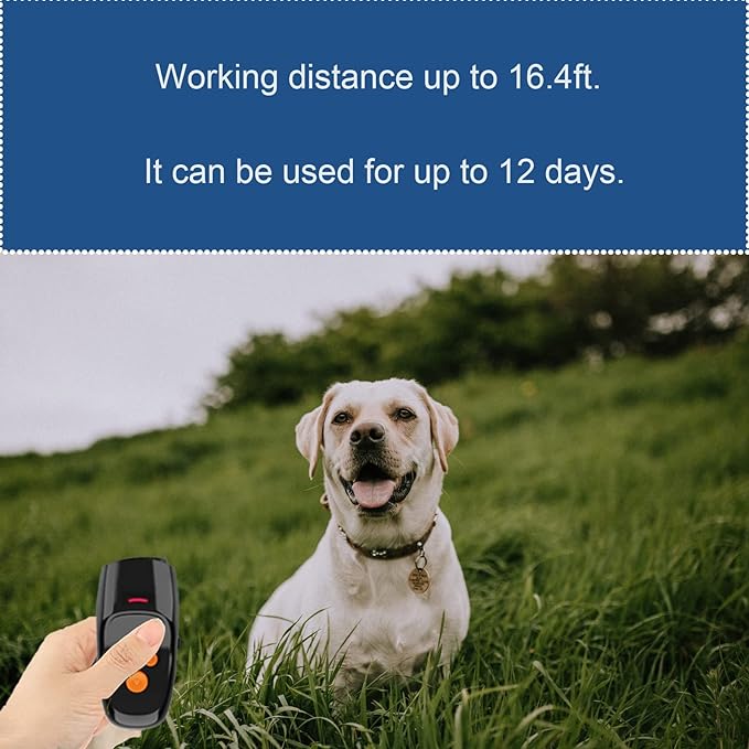 Barking Control Devices Pi-Mart