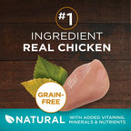 Purina One True Instinct Chicken, Grain-Free Wet Cat Food, 3 oz Can EasyOptionXY LLC