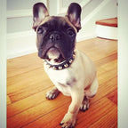 The "Rock" collar - SJB-DIAMOND ELITES