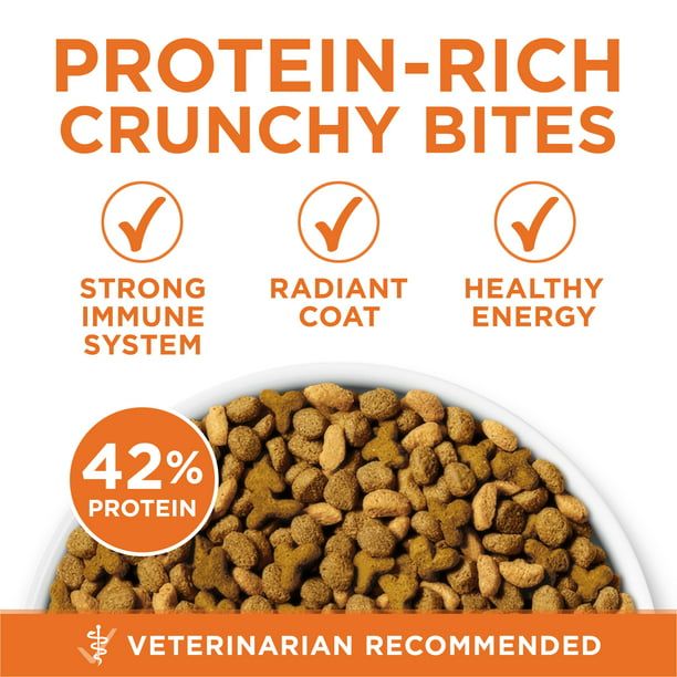 Purina One +Plus Ideal Weight High Protein Dry Cat Food Turkey, 16 lb Bag EasyOptionXY LLC