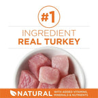 Purina One +Plus Ideal Weight High Protein Dry Cat Food Turkey, 16 lb Bag EasyOptionXY LLC