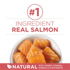 Purina One +Plus Indoor Advantage Salmon Dry Cat Food, 3.5 lb Bag EasyOptionXY LLC