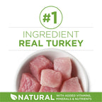 Purina One +Plus indoor Advantage Dry Cat Food Turkey, 7 lb Bag EasyOptionXY LLC