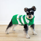 Pet Striped Christmas Lantern Turtleneck Sweater Pi-Mart