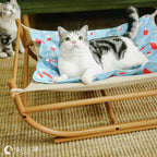 Iron Cat Hammock Pet Sofa Bed Pi-Mart