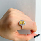 Sterling Silver Luxury Elegant Retro Elegant Zircon Ring Pi-Mart