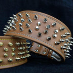 The "Crown" collar Bestia Dog Gear