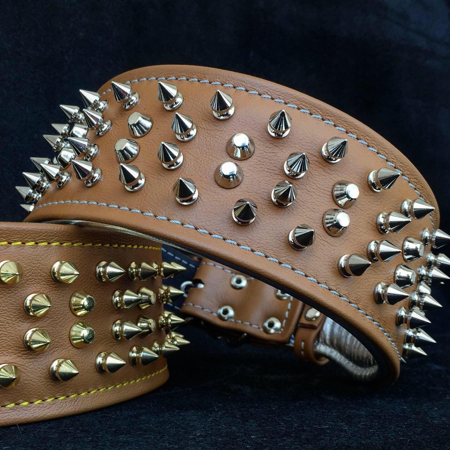 The "Crown" collar Bestia Dog Gear