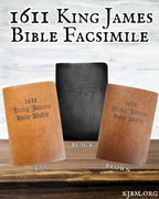 B.Y.O.B. "Bring Your Own Bible" 6 Pack Variety Color KingdomWear