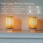 TRIROCKS Set of 2 Battery Operated Lamp 9'' High Cordless Table Lamp Battery Powered Lanterns with 6H Timer for Home Living Room Weddings Parties Patio Events Outdoors Indoors Shelf(Gold) Lootquake LLC