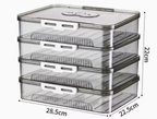 Transparent Dumpling Storage Box Pi-Mart