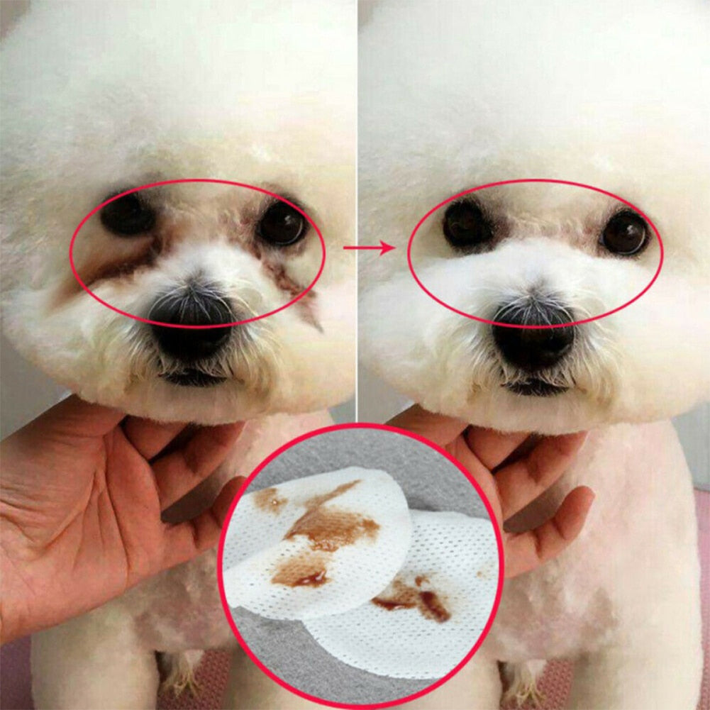 Pet Wet Wipes - SJB-DIAMOND ELITES