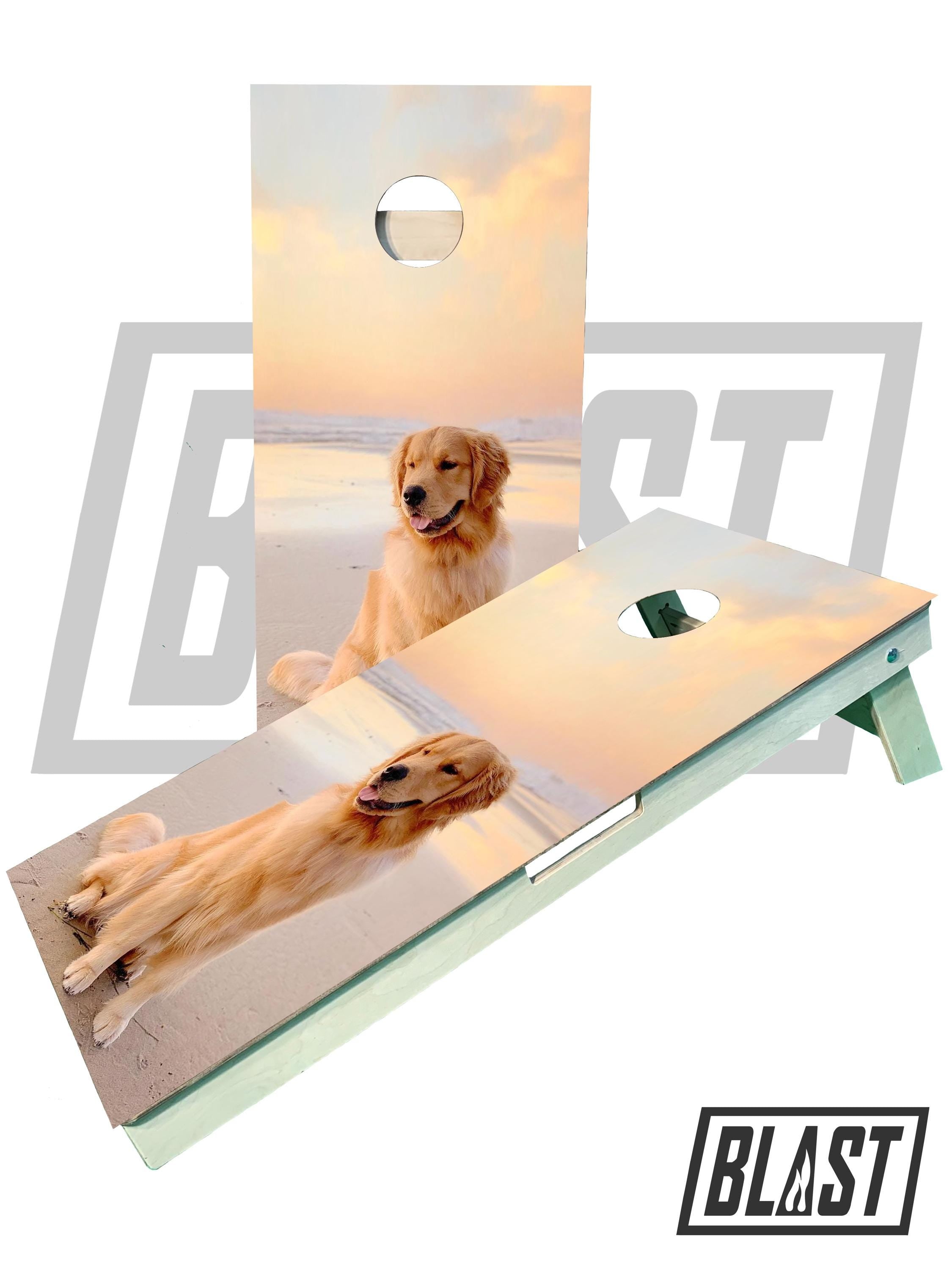 Custom Cornhole Boards (Your Company Logo, Image, or Design Request) - SJB-DIAMOND ELITES