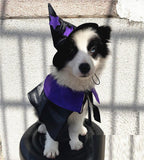 Enchanting Pet Halloween Wizard Costume Set Lootquake LLC