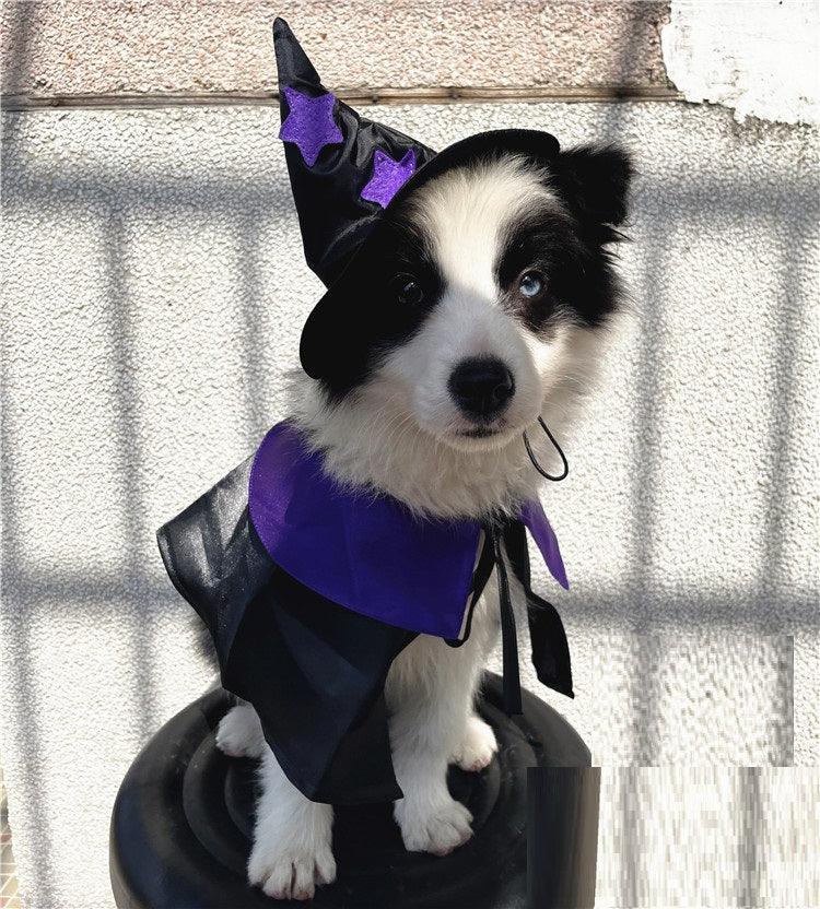 Enchanting Pet Halloween Wizard Costume Set Lootquake LLC