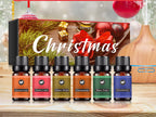 16 Theme Atmosphere Flameless Essential Oil Sets Pi-Mart