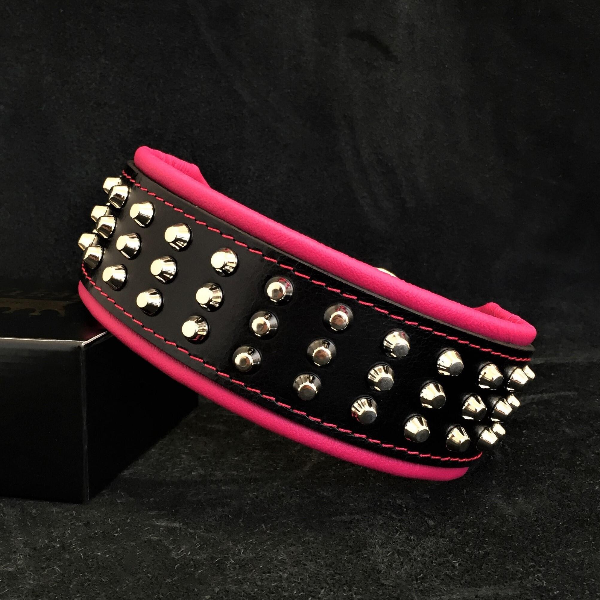 The "Stud" dog collar - SJB-DIAMOND ELITES