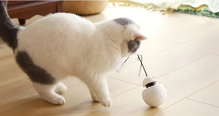 3-in-1 Robotic Laser Cat Toy for Pets Pi-Mart