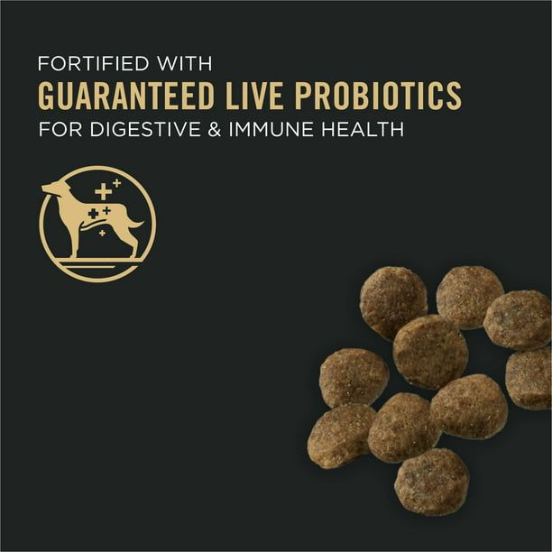 Purina Pro Plan Puppy Sensitive Skin and Stomach for Dogs Under 1 Year, 16 lb Bag EasyOptionXY LLC
